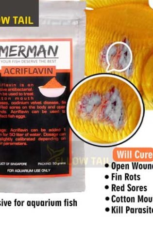 acriflavine powder for aquarium fish infection treatment