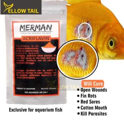 acriflavine powder for aquarium fish infection treatment