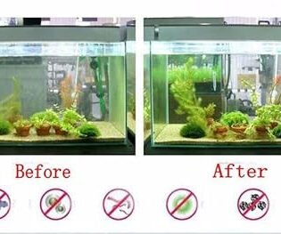 use aquarium filter before and after of fish tank