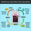 beneficial bacteria or aquarium to feep crystal clean water and healthy fish