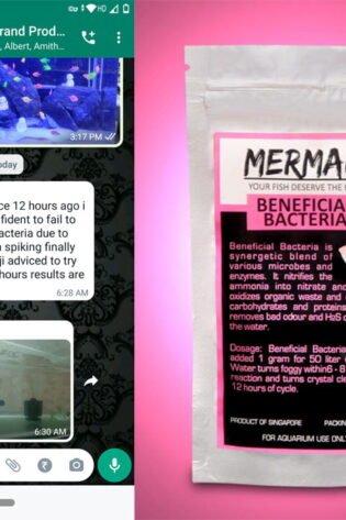 beneficial bacteria feedback and review from buyer