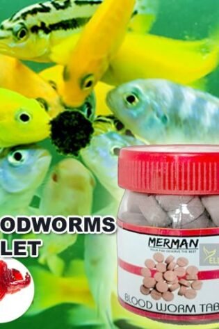 bloodworm tablet aquarium fish