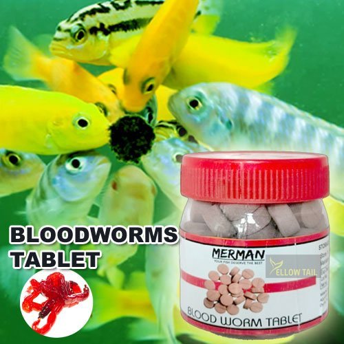 bloodworm tablet aquarium fish