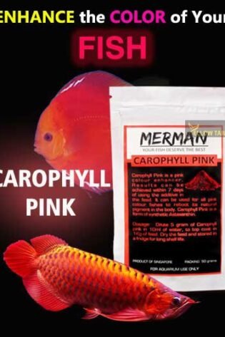 carophyll pink pure astaxanthin fish color enhancer