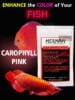 carophyll pink pure astaxanthin fish color enhancer