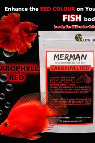 Carophyll Red: Enhance Red Colors in Aquarium Fish