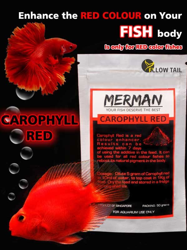 Carophyll red