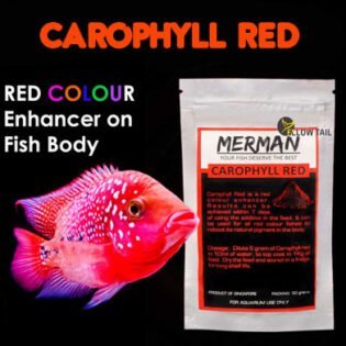 carophyll red best colour enhancer for aquarium fish