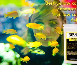 carophyll yellow aquarium fish food supplement