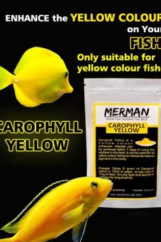 carophyll yellow aquarium fish colour enhncer for tropical fish premium aquarium products fish food supplement