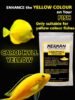 carophyll yellow aquarium fish colour enhncer for tropical fish premium aquarium products fish food supplement