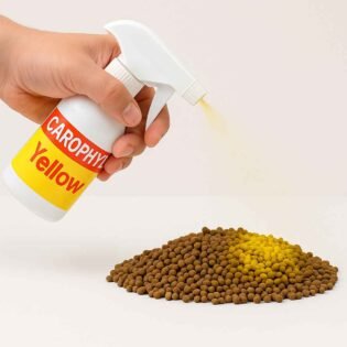 Carophyll Yellow liquid sprayed on fish food pellets for yellow colour enhancement in aquarium fish