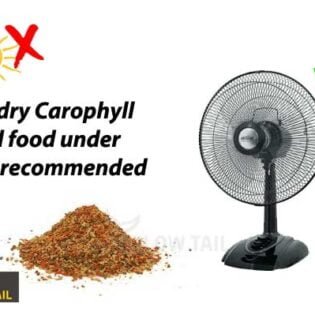 dry the carophyll powder under fan air