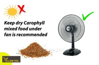 dry the carophyll powder under fan air