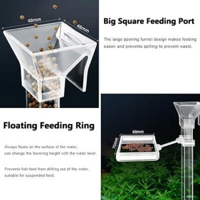 Fish Food Ring with Tub: The Ultimate Solution for Efficient and Mess-Free Feeding - Image 4