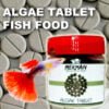 fish food algae tables stick on fish tank glass