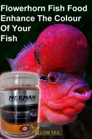 flowerhorn fish food premium quality high proteins pellet