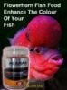 flowerhorn fish food premium quality high proteins pellet