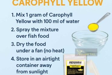 How to use Carophyll Yellow for fish color enhancement