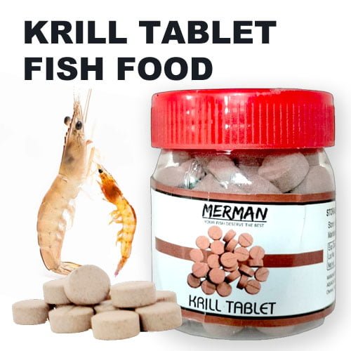 tablet fish food