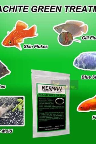 malachite green is best treatment for fish infection and parasite