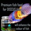 merman premium discus fish food pellets