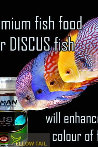 merman premium discus fish food pellets