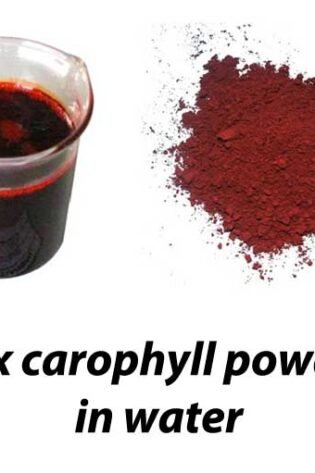 mic carophyll powder in water