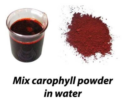 mic carophyll powder in water