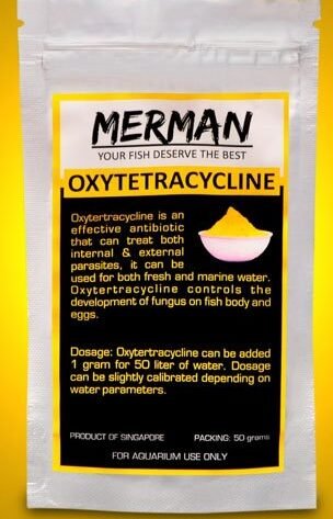 oxytetracycline powder to cure fish infection and best antibiotic for aquarium fish