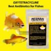 oxytetracycline to treat infection and antibiotic for aquarium fish