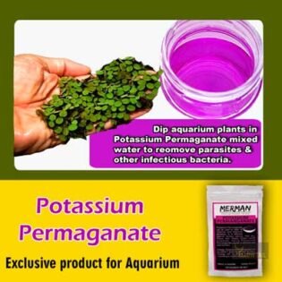 recommending potassium permanganate to clean aquarium plants before adding in fish tank