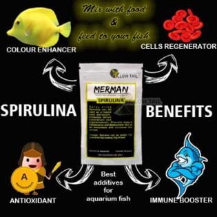 spirulina benefits for aquarium