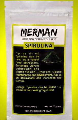 spirulina fish food for aquarium fish health