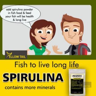 spirulina powder for aquarium recommend