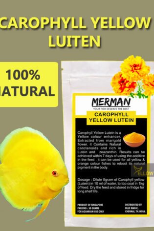 carophyll yellow lutein natural color enhance for aquarium fish