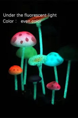 glowing-mushroom-aquarium-decoration-under-fluorescent-ligh-even-color