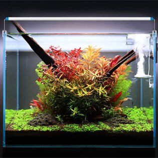 blue white led aquarium lights from hakawin