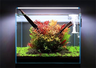 blue white led aquarium lights from hakawin