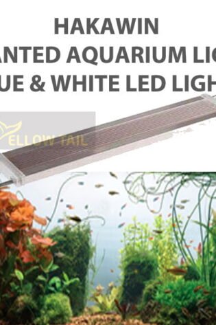 hakawin blue and white led light for planted aquarium