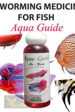 how to dewormin the aquarium fish medicine aqua guide