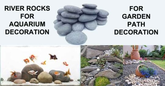 unpolished natural river rock for aquarium and for garden path way decoration