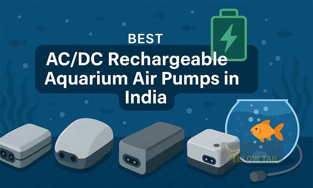 Best AC/DC Rechargeable Aquarium Air Pumps in India for Power Cuts And Travel