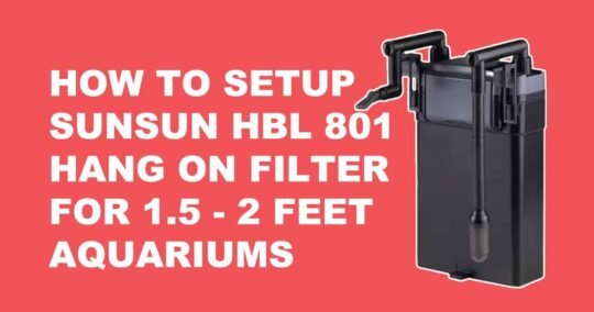 sunsun hbl 801 hang on filter installation for small aquariums