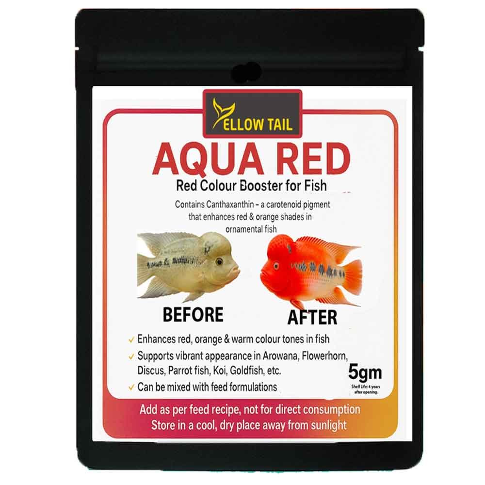 Aqua Red 5g Pack
