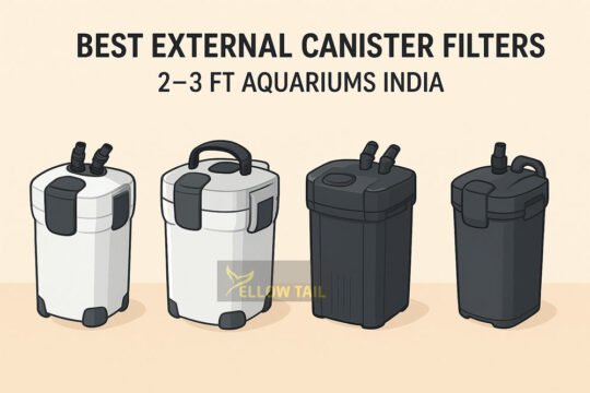 illustrated comparison of best external canister filters for 2 to 3 feet aquariums in india